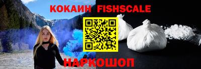 шишки Новодвинск