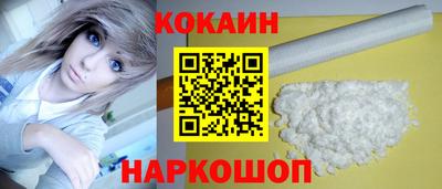 шишки Новодвинск