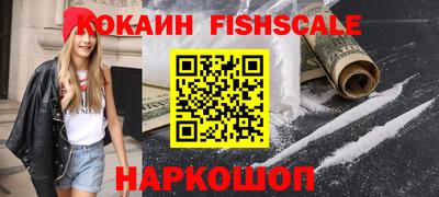 шишки Новодвинск