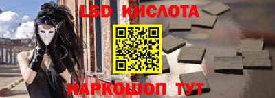 шишки Новодвинск