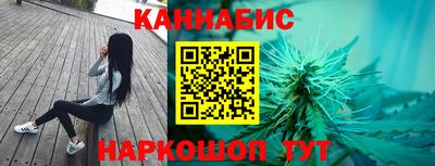 шишки Новодвинск