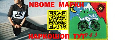 шишки Новодвинск