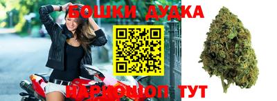 шишки Новодвинск