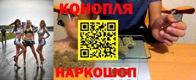 шишки Новодвинск