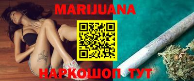 шишки Новодвинск
