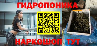 дурь Новозыбков