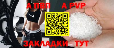 шишки Новодвинск