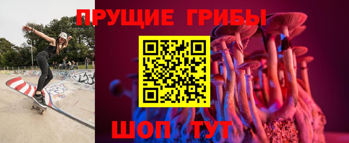 Псилоцибиновые грибы Psilocybe Среднеуральск